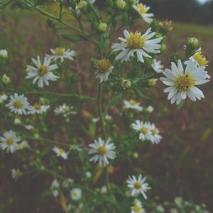 PLEASE MAKE AN OFFER!!! ♥️